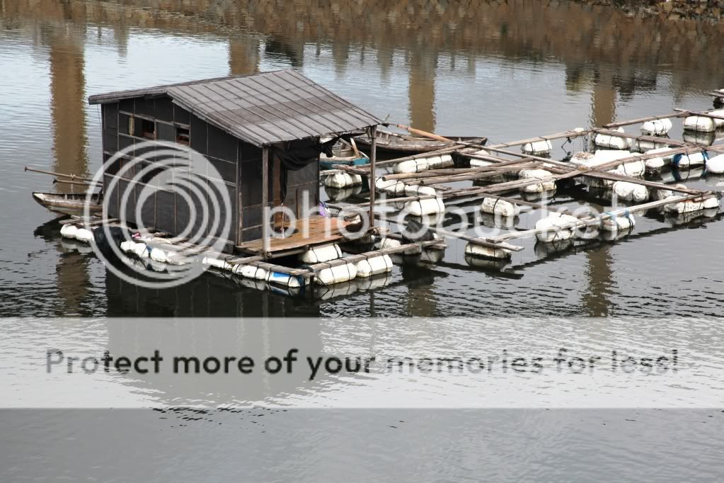 东山岛之行续篇:八尺门渔排